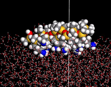 Study Of Conformations And Orientations Of Polymers At Interfaces Using