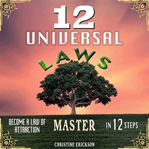 12 Universal Laws Become A Law Of Attraction Master In 12 Steps Audible Audio