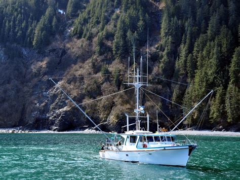 Salmon Fishing In Alaska The Ultimate Guide