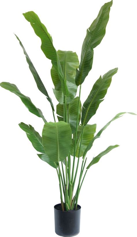 Greenmoods Kunstplanten Kunstplanten Strelitzia Nicolai Deluxe