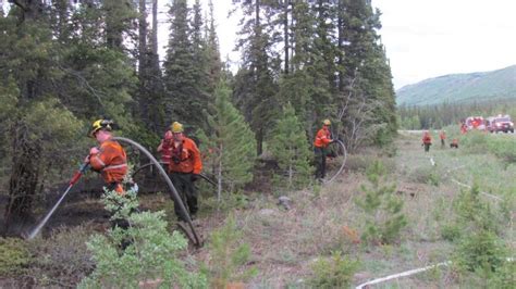 Yukon forest fire season 'remarkably quiet' | CBC News