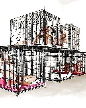 Bdsm The Way Of O Porn Pictures XXX Photos Sex Images