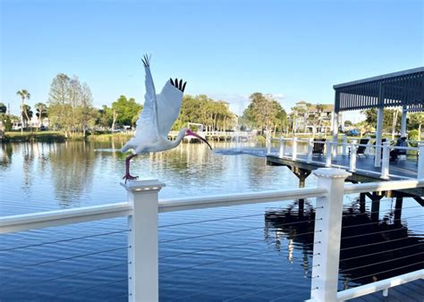 Hacienda Hotel Reborn And It S A Beauty In New Port Richey