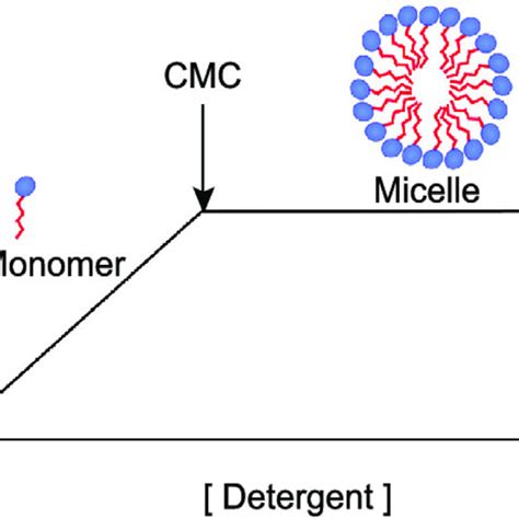 Schematic Definition Of The Critical Micelle Concentration 41