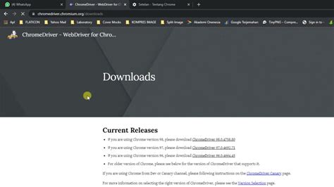 Cara Update Chrome Driver Wa Bulk Sender YouTube