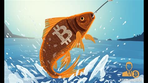 Wealth Transfer Bitcoin Ethereum Fishing Xrp Shiba Inu Fishing