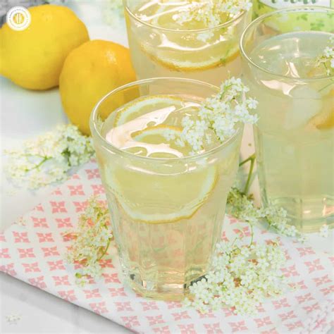 Elderflower Cordial Refreshing Summer Lemonade