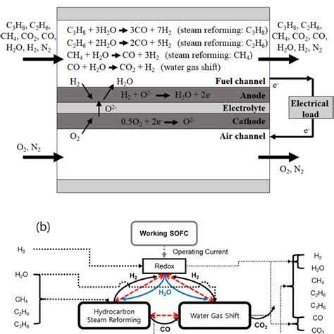 A Schematic Showing The Operating Principle Of The Dir Sofc Model And Download Scientific