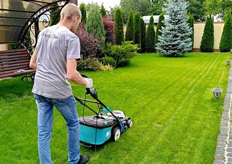 Когда последний раз можно подстричь газон, чтобы не испортить его