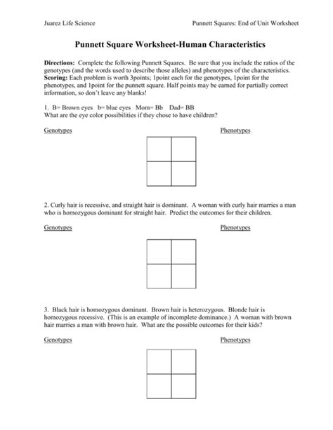 Punnett Square Worksheets