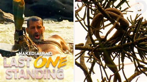 Most Dangerous Moments Of Season Naked And Afraid Last One Standing Discovery Youtube
