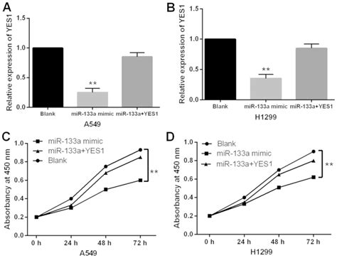 Microrna‑133a Inhibits The Proliferation Of Non‑small Cell Lung Cancer