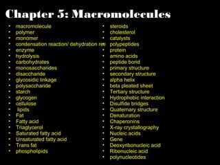 Chapter Macromolecules Ppt