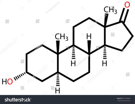 Androsterone A Male Sex Hormone Structural Formula Stock Vector Illustration 101789833