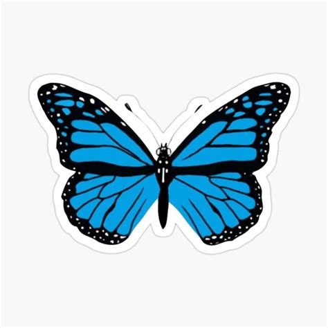 Blue Butterfly Sticker For Sale By Dudilyra Blue Butterfly Monarch