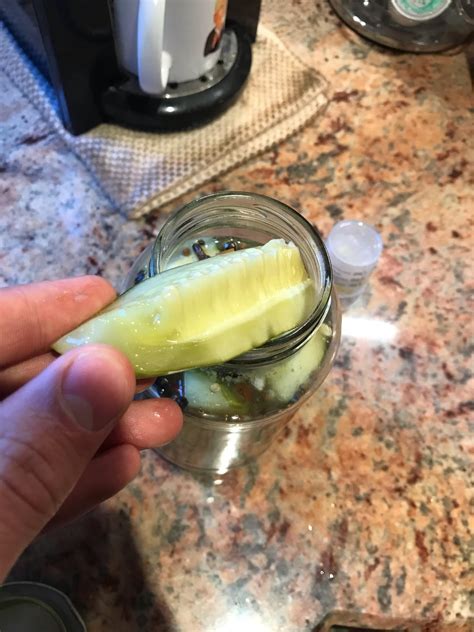 Have These Pickles Gone Bad Rlactofermentation