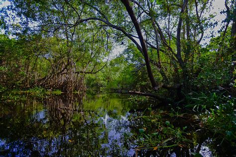 Reserva De La Biosfera Pantanos De Centla Joya Natural Revista De Aventura Y Naturaleza