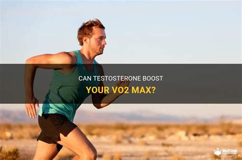 Can Testosterone Boost Your Vo2 Max Medshun