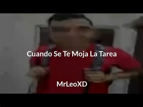 Cuando Se Te Moja La Tarea Letra 8k YouTube