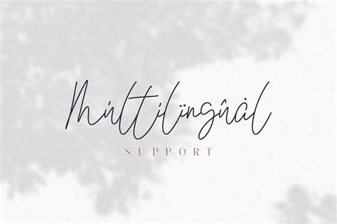 Kindel Script By VPcreativeshop | TheHungryJPEG