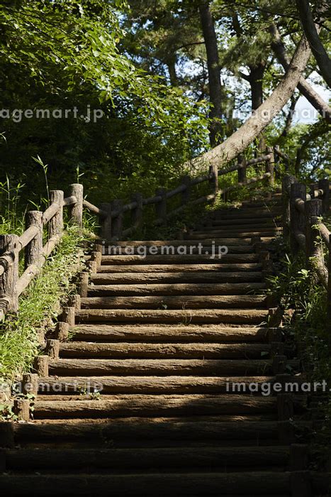 神奈川県 横浜市 大倉山公園の写真素材 142782145 イメージマート