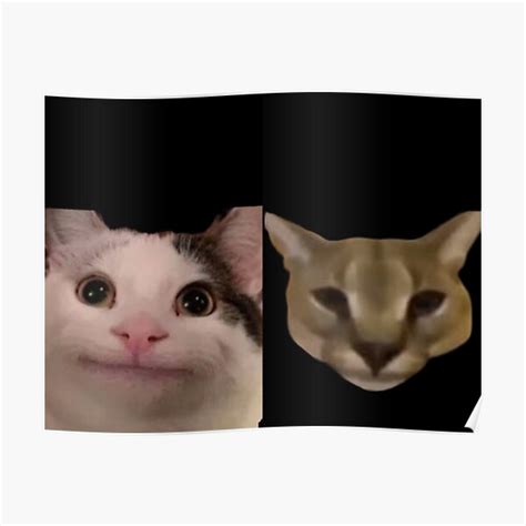 "Beluga Cat And Hecker cat" Poster for Sale by mo91 | Redbubble