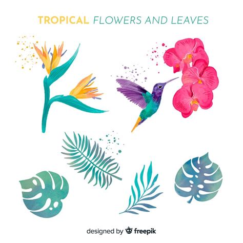 Premium Vector Watercolor Tropical Flowers And Leaves