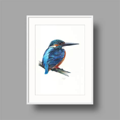 River Kingfisher Iii Realistic Ballpoin Drawing By Daria Maier