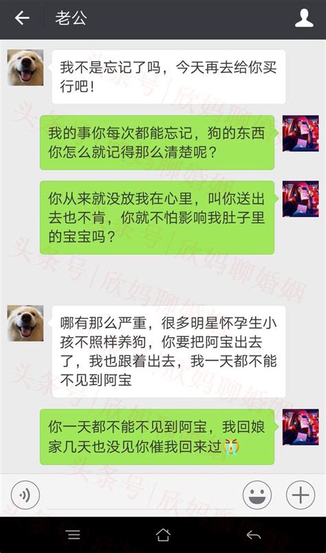 老公，离婚吧，怀孕的我还不如一条狗重要！