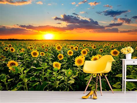 Sunflower Wallpaper Peel Stick Wallpaper Summer Wall Art, Sunflower ...