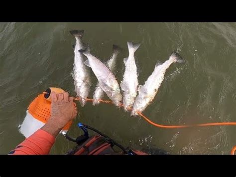 Speckled Trout Fishing In The Galveston Surf On Fire YouTube