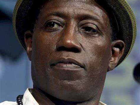 Is Wesley Snipes Gay Arethey Gay