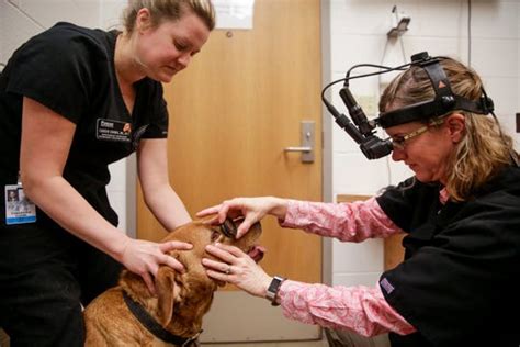 Purdue animal hospital, oldest facility of its kind, gets $73M boost ...