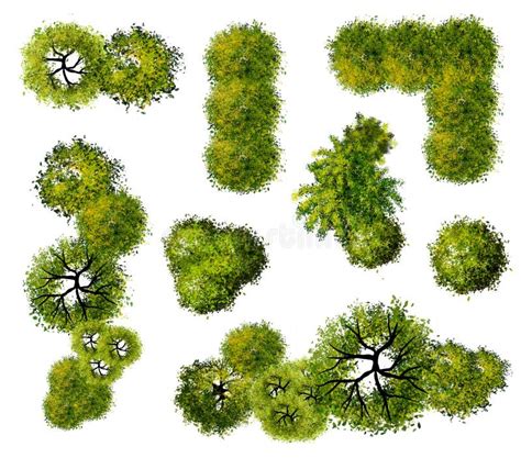 Abstract Green Tree Top View Stock Illustration - Illustration of ...