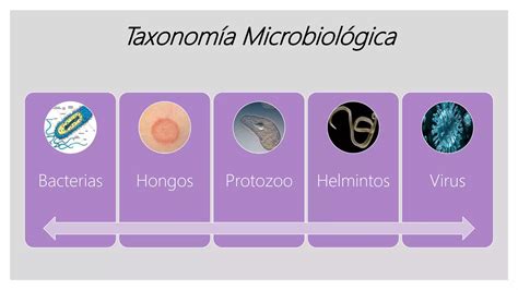 Clase Microbiología y Generalidades ppt