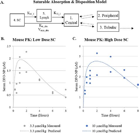 Comparison Of Predicted And Measured Dfo Np Pk After Sc Administration Download Scientific