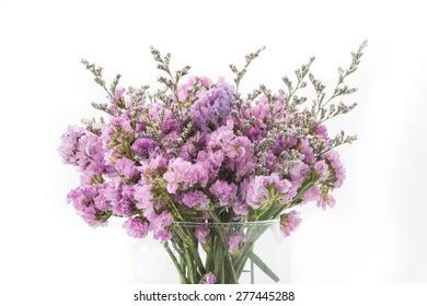 Statice Flower Bouquet On White Background Stock Photo 277445288 ...