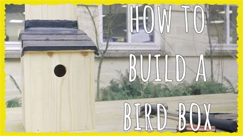 Birdhouses Versus Nesting Boxes Whats Best For Birds 49 Off