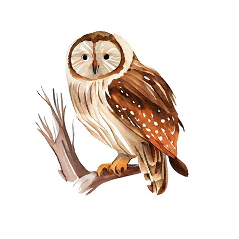 Vintage Watercolor Owl Ai Generated 22805939 Png