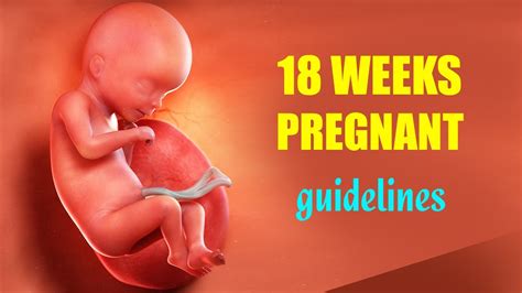 18 Weeks Pregnant Symptoms Of Pregnancy And What To Expect Baby