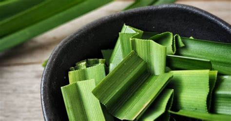 Minum Rebusan Air Daun Pandan Boleh Hilangkan Bau Badan Pelbagai