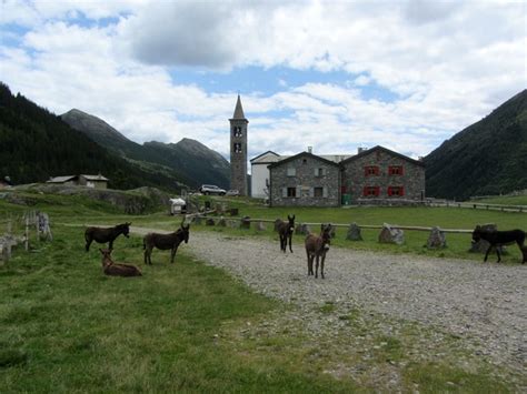 Rifugio Eita Val Grosina Orientale Valtellina