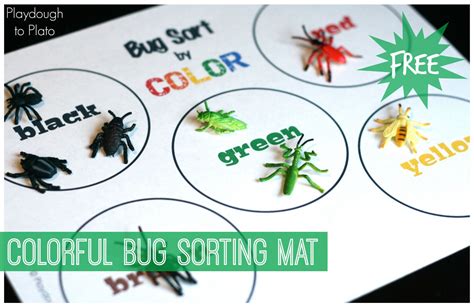 Free Printable Bug Sort Playdough To Plato Bug Activities For Kids