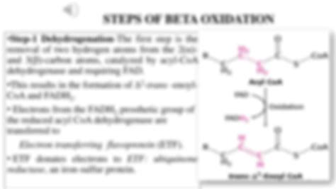 Solution Lecture22 Part I Beta Oxidation Fatty Acids Audio Studypool