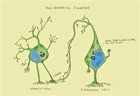 The Journal Of Cartoon Neuroscience Great Intro Into Sometimes Strange World