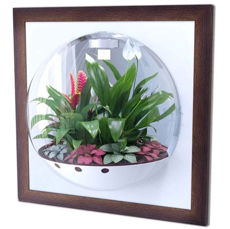 Настенный флорариум | Home decor, Decor, Terrarium