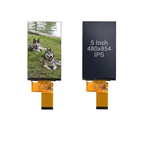 OEM ODM 5 Inch TFT LCD Display 5 Inch TFT LCD Display Manufacturer 5