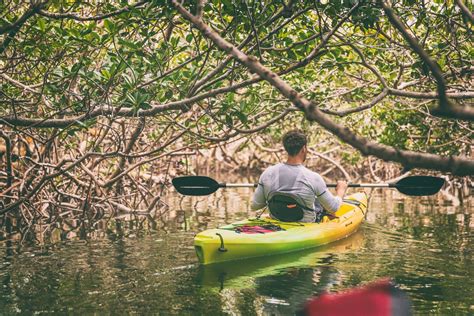 Exciting Eco Tours On Anna Maria Island