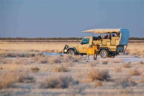 National Parks - Namibia Wildlife Resorts