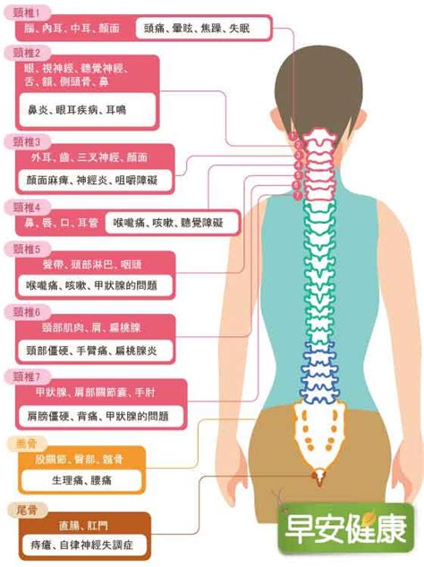 脊椎不正，壓迫神經！身體痠僵痛麻都是因為它